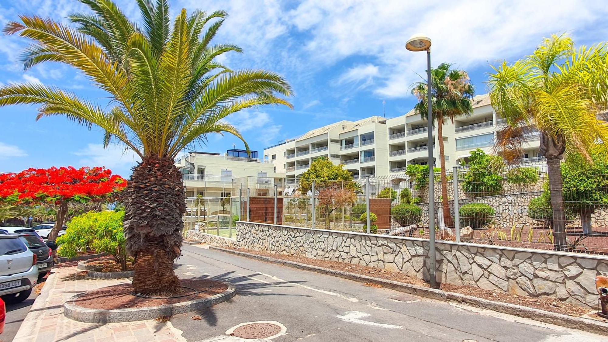 Ferienwohnung Terraza Sea & Sun Palm-mar Exterior foto